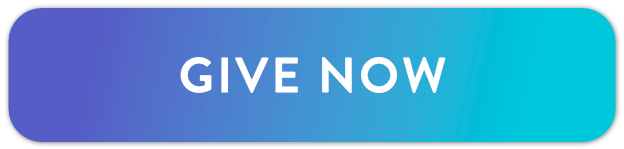 give now button